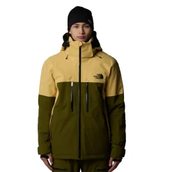 The North Face Chakal Waterproof Jacket