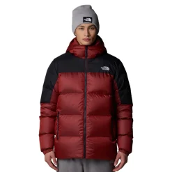 The North Face Diablo Down 2.0 Hooded Jacket