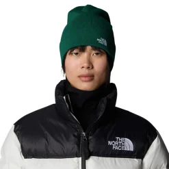 The North Face Norm Beanie